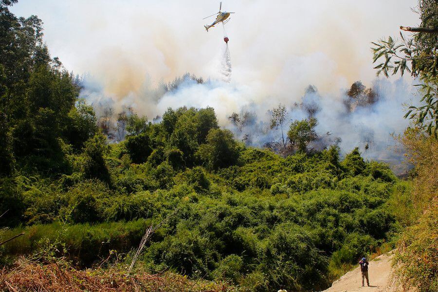 Intendencia del Biobío declara alerta roja en la comuna de Hualqui por