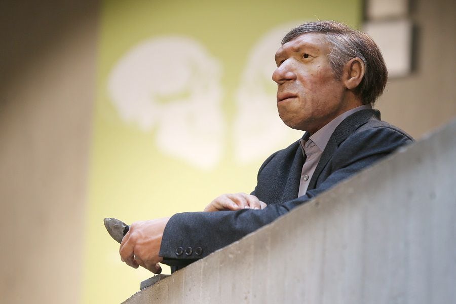 Neanderthal gets new suit