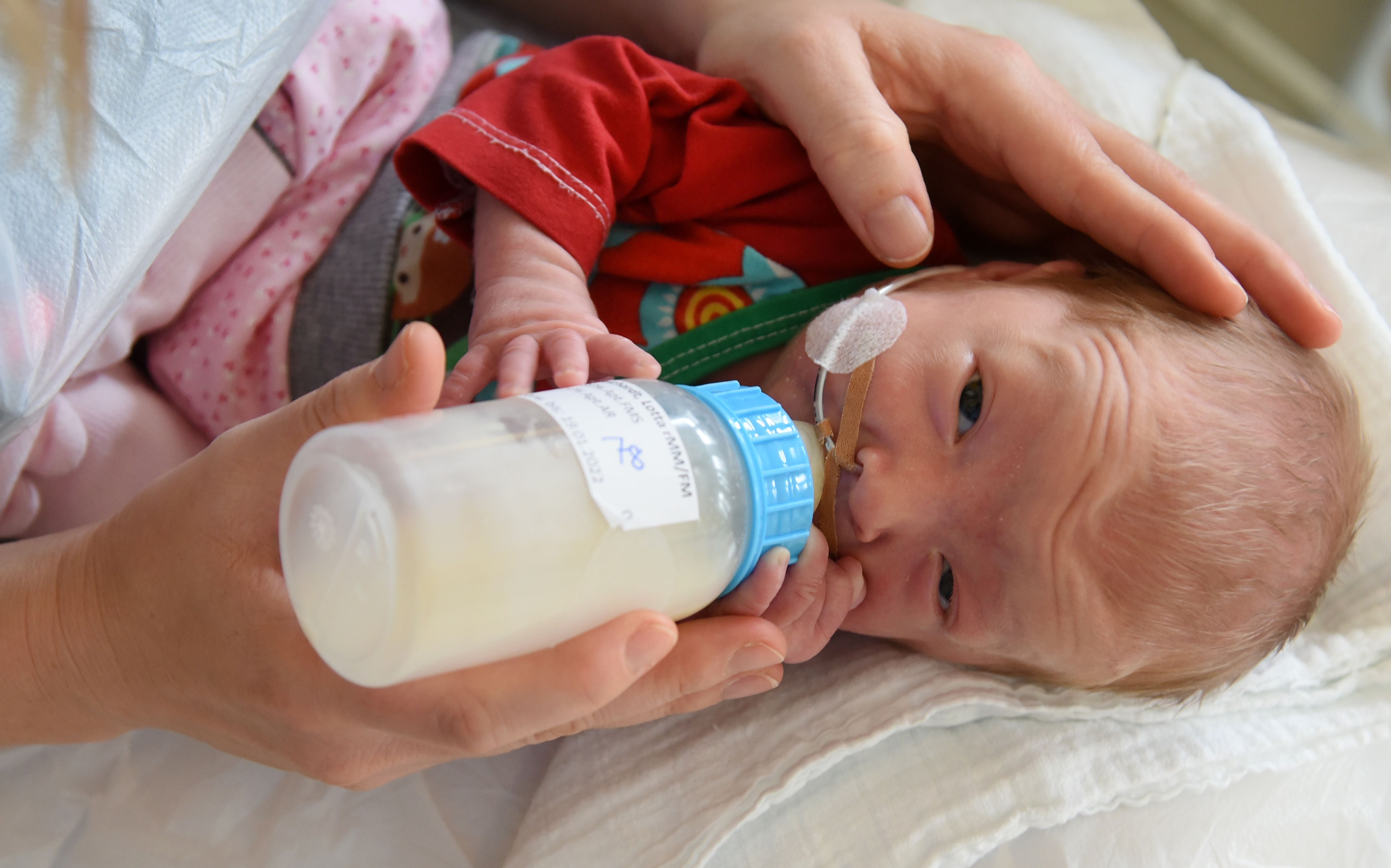 Milk banks provide premature infants with breast milk