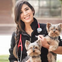 Soy veterinaria y estas son tres cosas con las que nunca alimentaría a mi perro