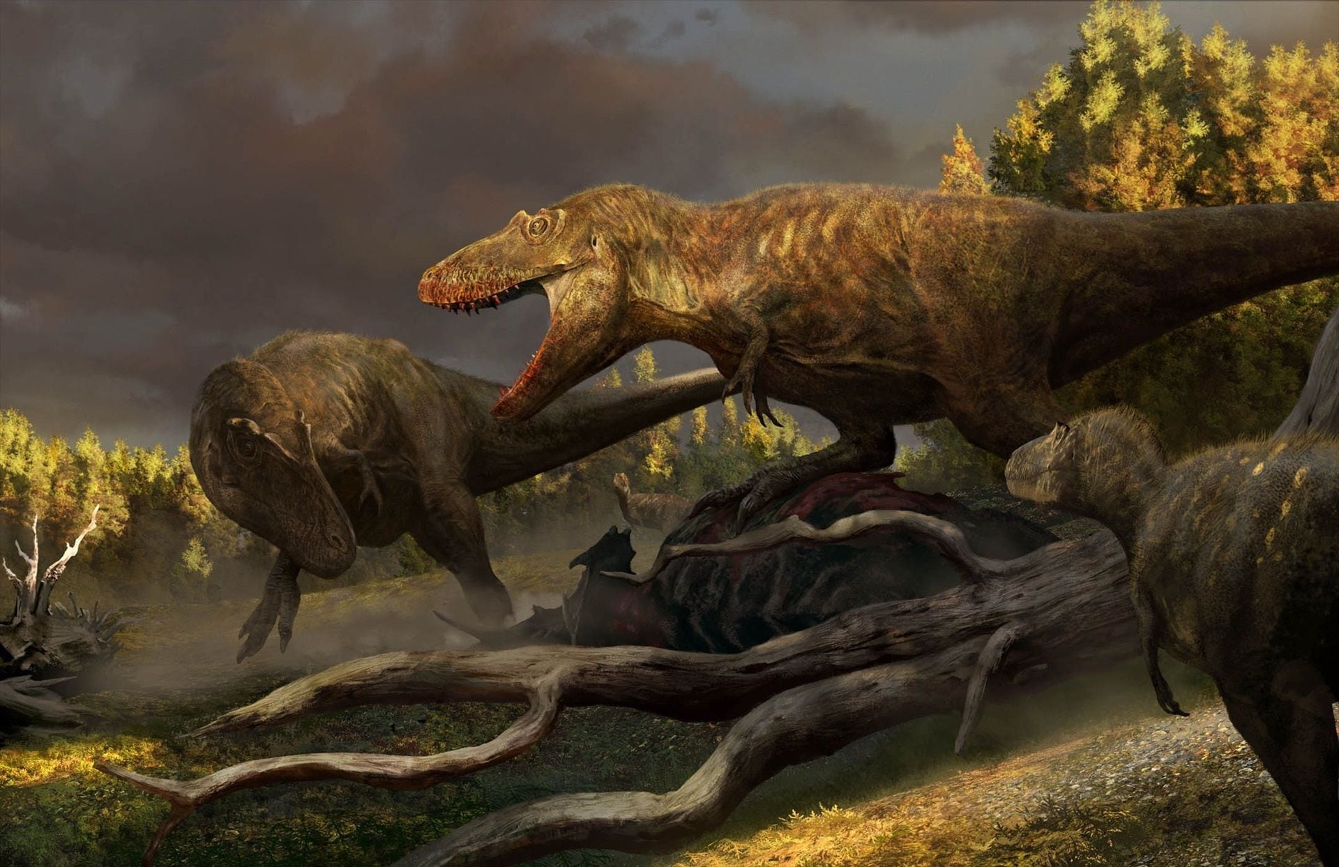 Nueva especie de tiranosaurio se muestra como ancestro de T.Rex