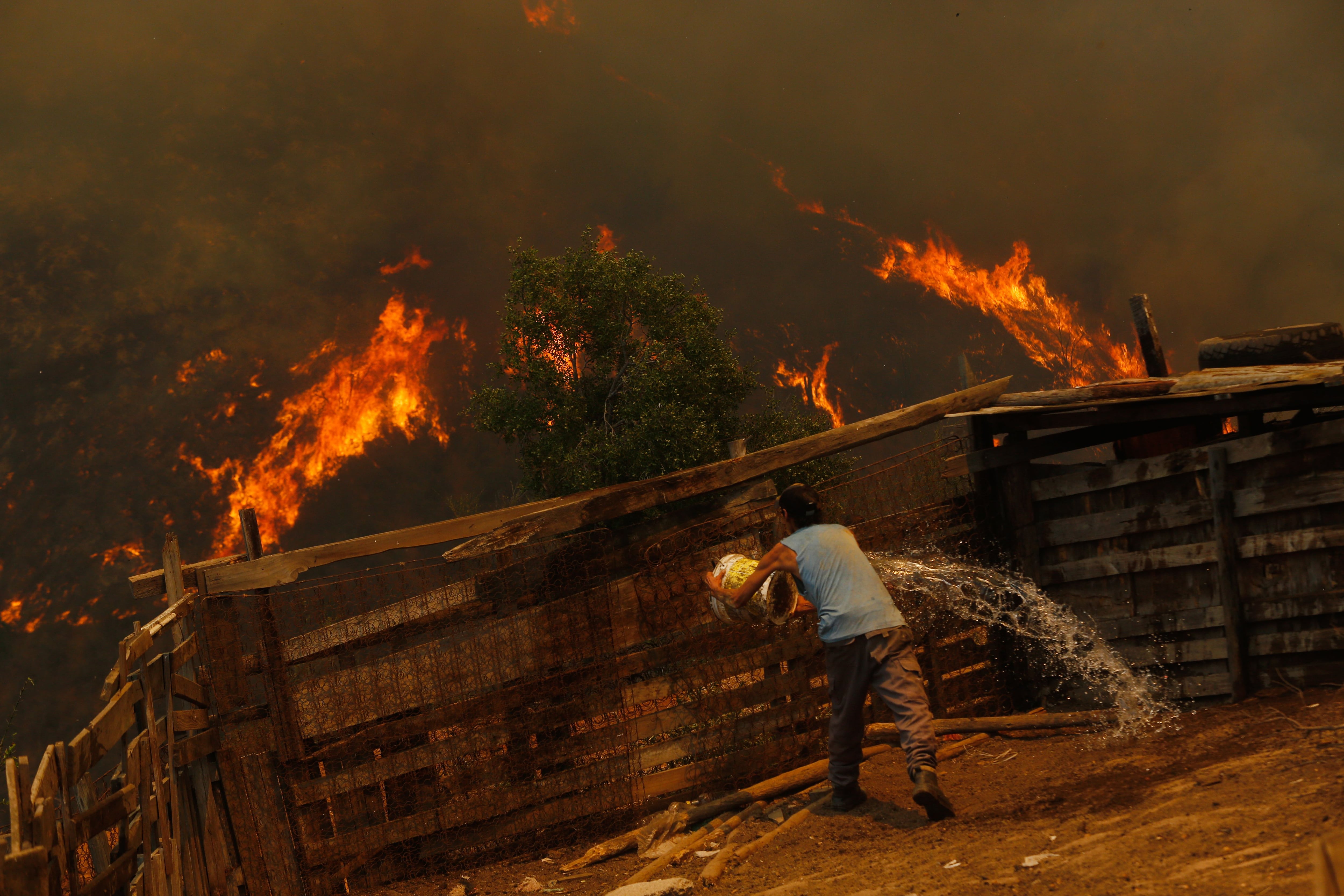 3 DE FEBRERO DE 2024 / VALPARAÍSO 
Incendios forestales causan daños en el sector Las Rosas de Quilpué, casas destruidas por el fuego
FOTO: DIEGO MARTIN/AGENCIAUNO