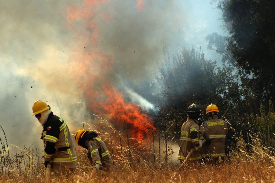 Incendios forestales