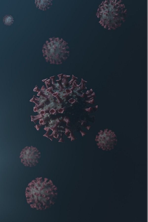 coronavirus portada 9