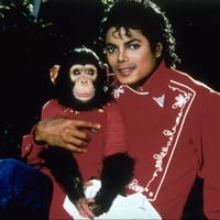 La historia de Bubbles, el famoso chimpancé que fue adoptado por Michael Jackson