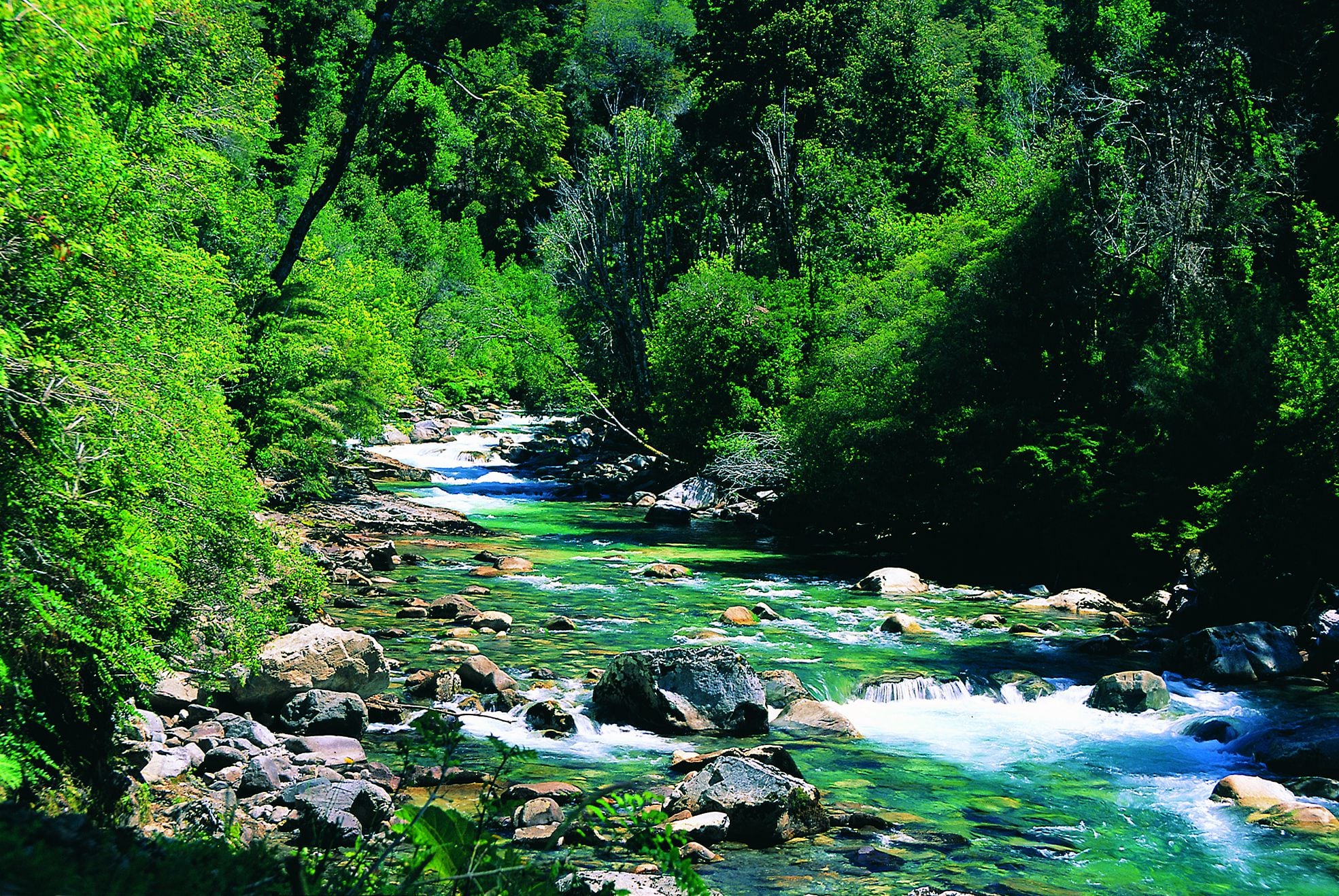 Encuentro Patagonia