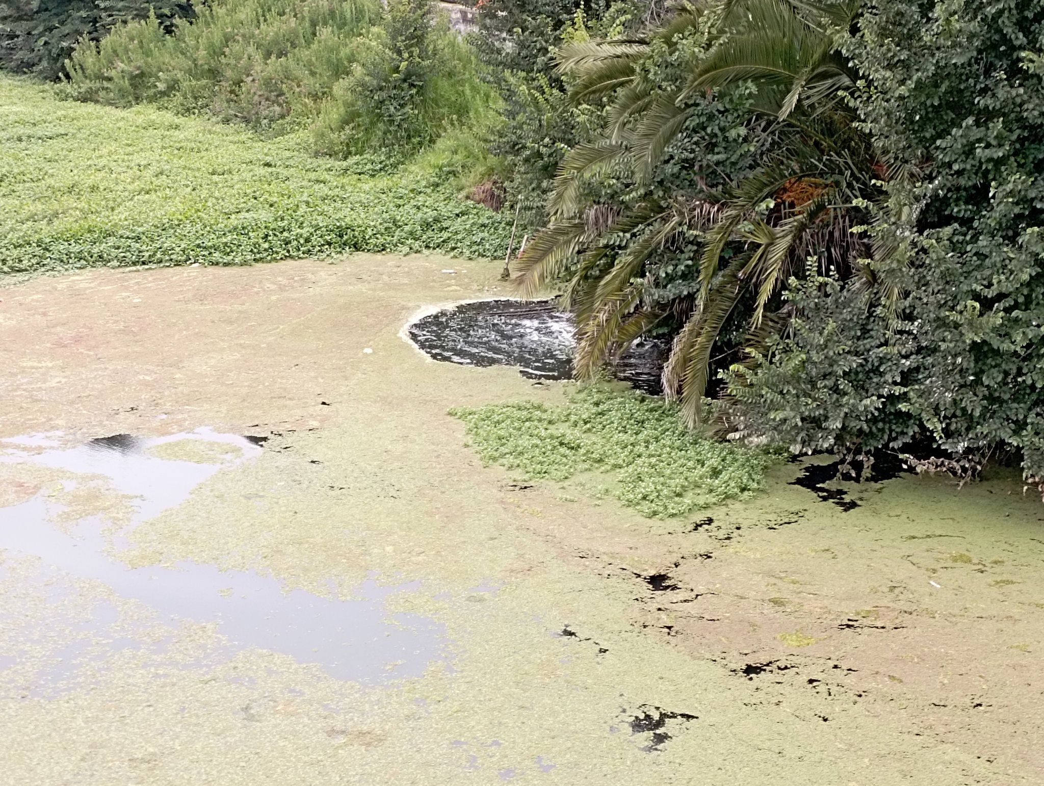 Estero Marga Marga