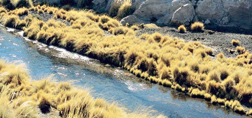 Ríos del norte son los que más basura acumulan en el país