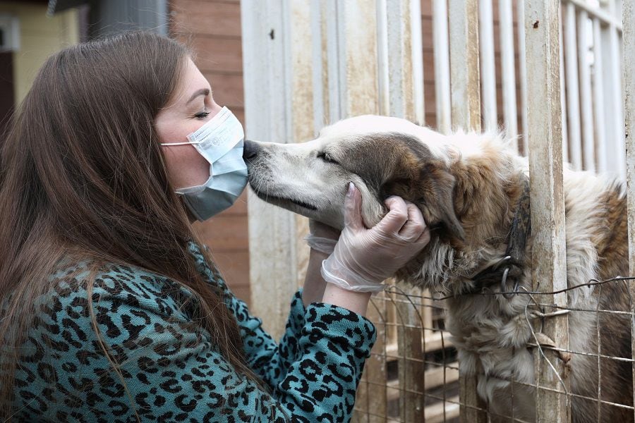 A woman hugs a dog at an animal shelter in Moscow