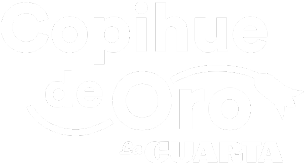 Copihue de Oro 2024