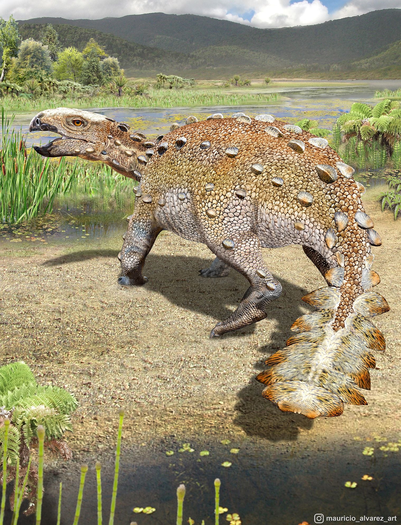 Científicos chilenos descubren nueva especie de dinosaurio con una extraña cola armada: lo bautizaron Stegouros elengassen, un hallazgo que será portada de la revista Nature