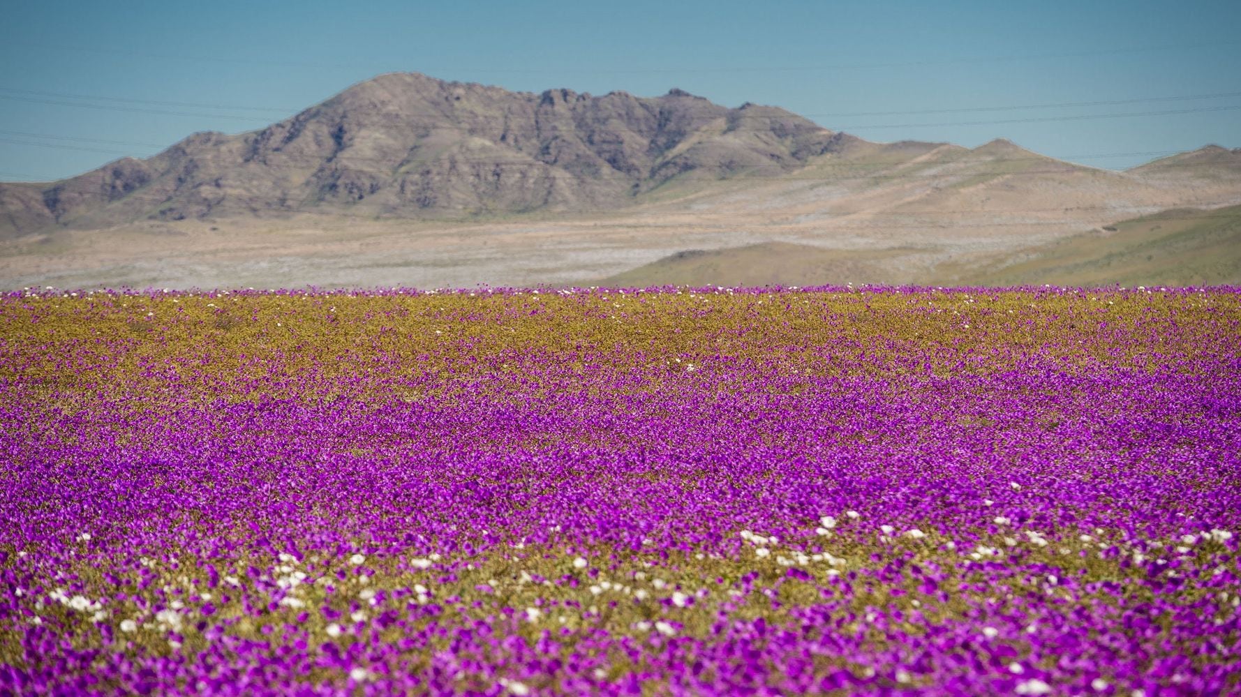 Desierto de Atacama