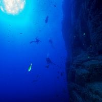 Qué es el extraño ‘oxígeno oscuro’ que encontraron en el fondo del mar y por qué las mineras están interesadas