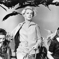 ¿Los pájaros pueden atacar a una persona como en la película de Hitchcock?