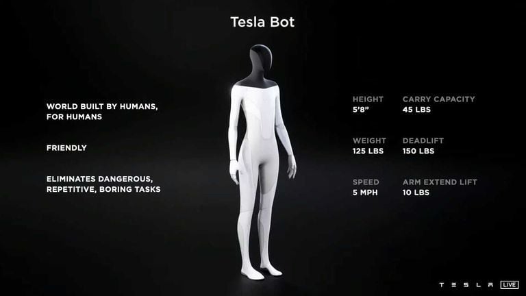 tesla bot