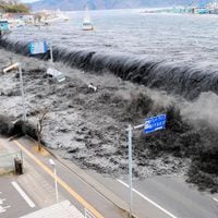 Cuál es la diferencia entre un maremoto y un tsunami