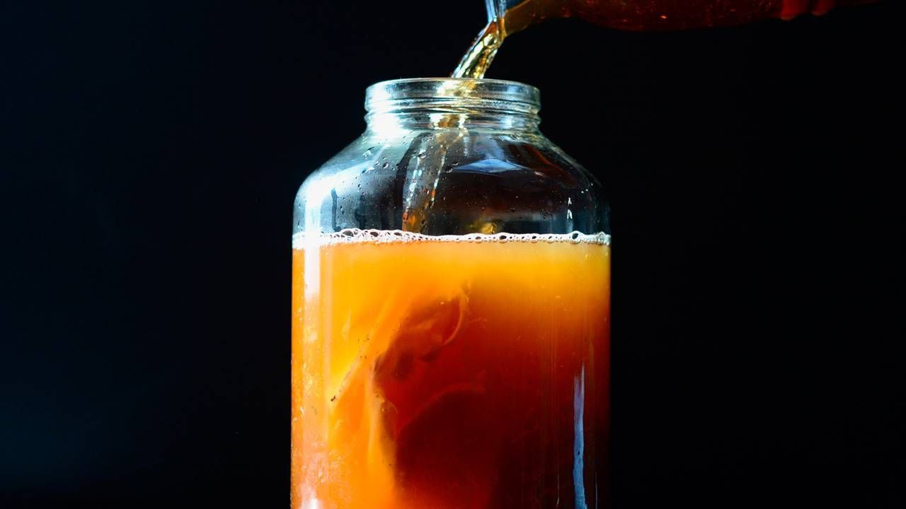 kombucha