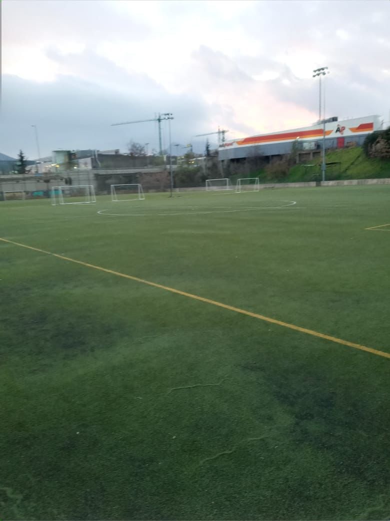 Sector Cuatro Canchas 3