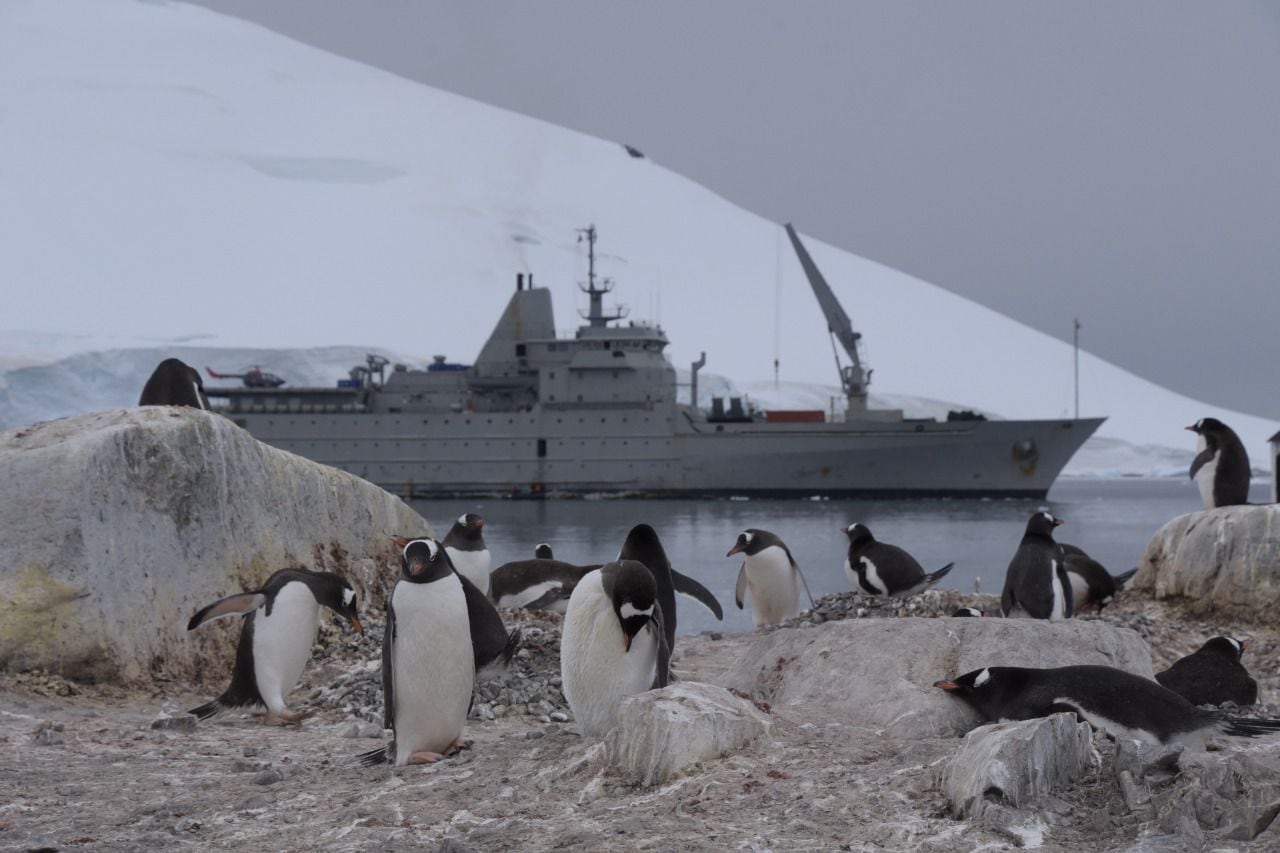 Día Antártica