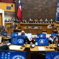 Reforma electoral: Senado rechaza modificaciones de la Cámara y busca reponer multa por voto obligatorio