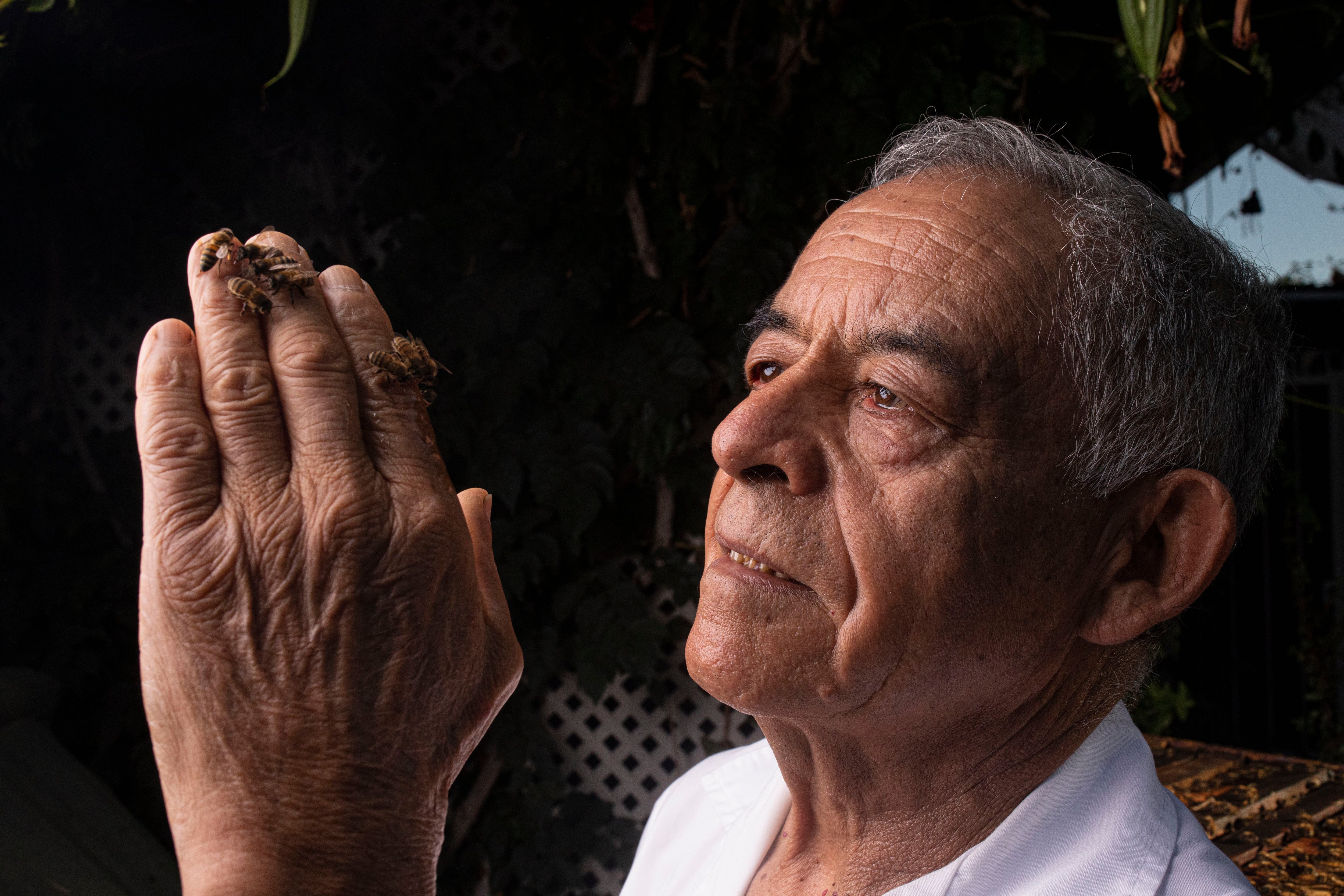 Hernán Chávez, Apichavez