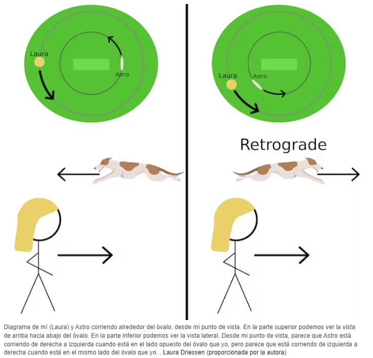 Mercurio retrógrado