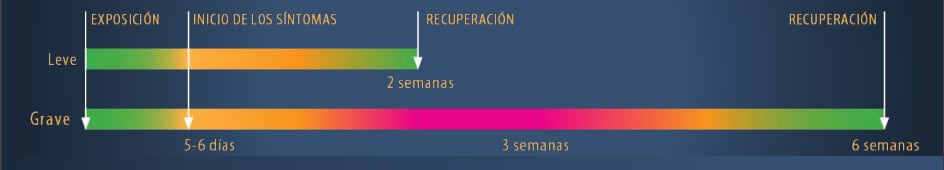 covid recuperación