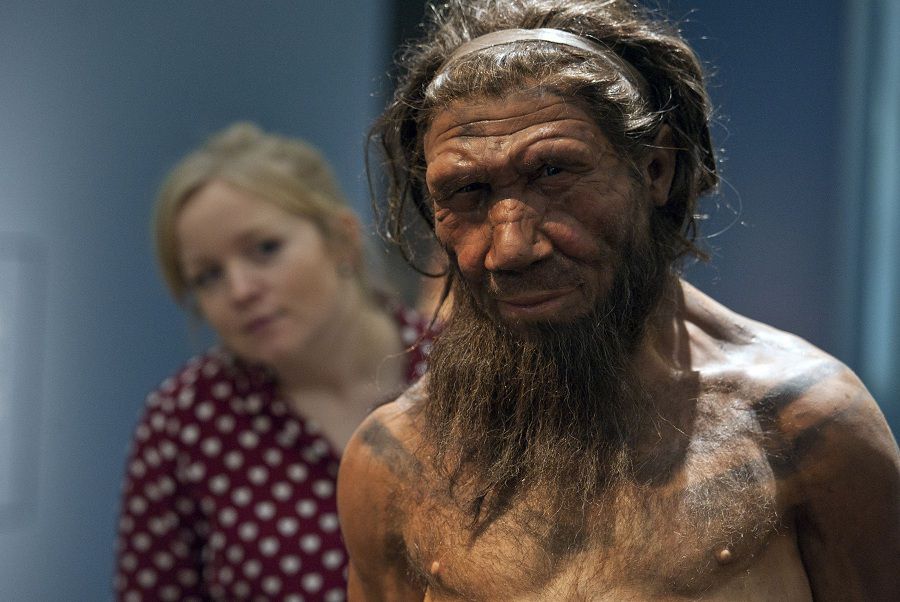 'Britain: One Million Years of the Human Story' exhibition