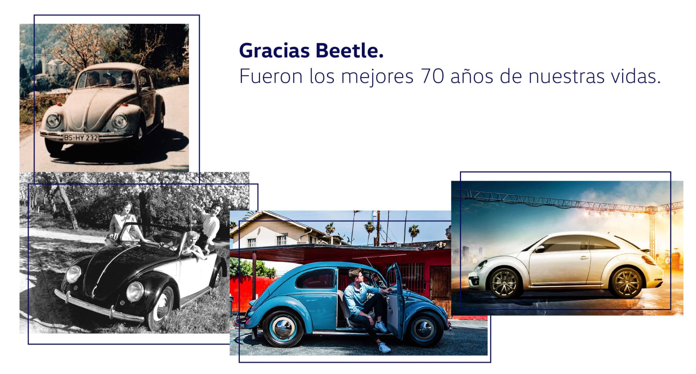 VW Beetle