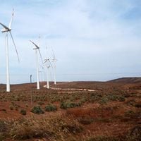 SMA ordena medidas urgentes y transitorias a titulares de proyecto eólico Talinay