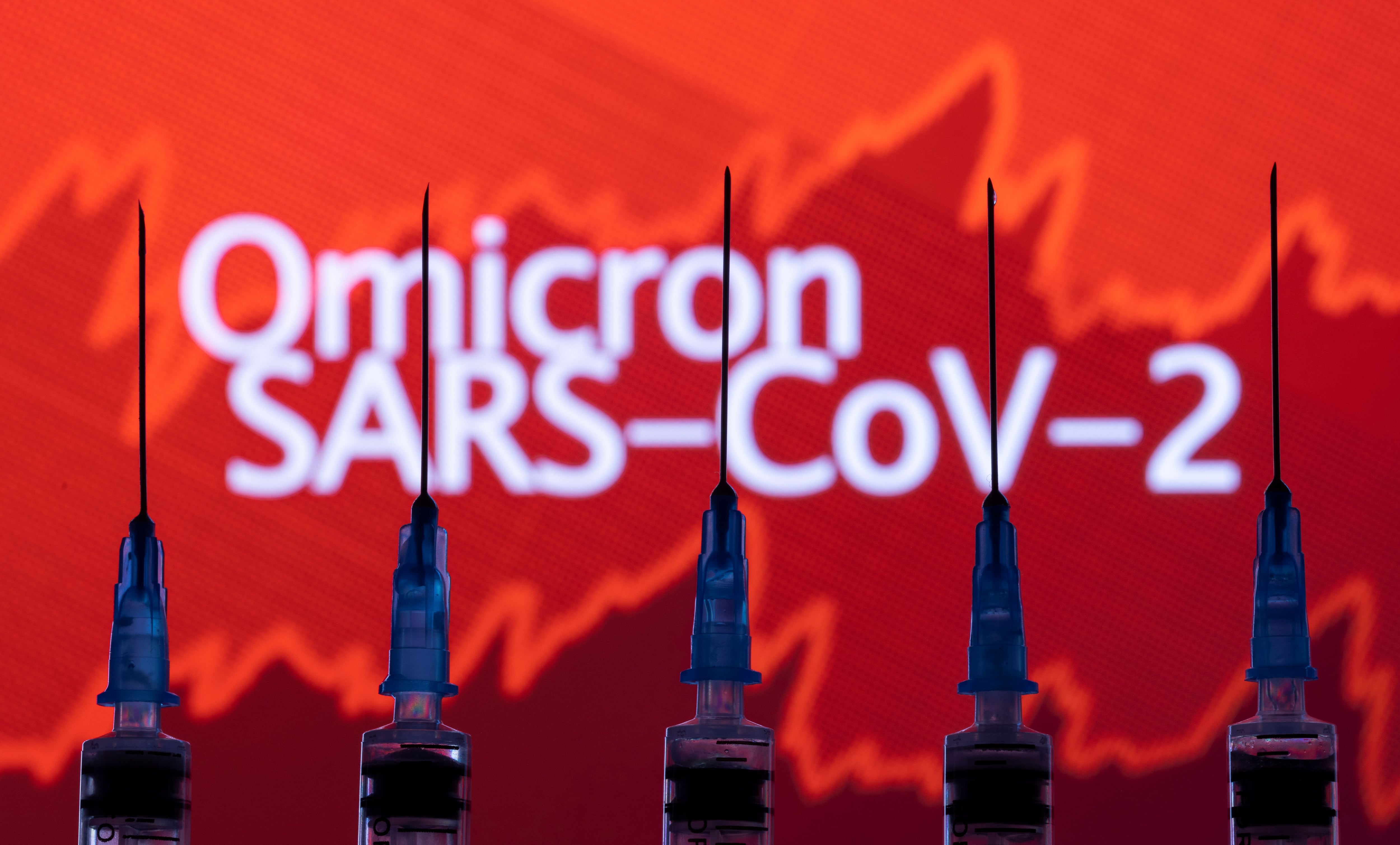 Syringes with needles are seen in front of a displayed stock graph and words "Omicron SARS-CoV-2" in this illustration taken