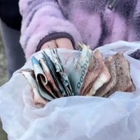 Familia enterró todos sus ahorros pero las lluvias los estropearon: así se pueden recuperar los billetes