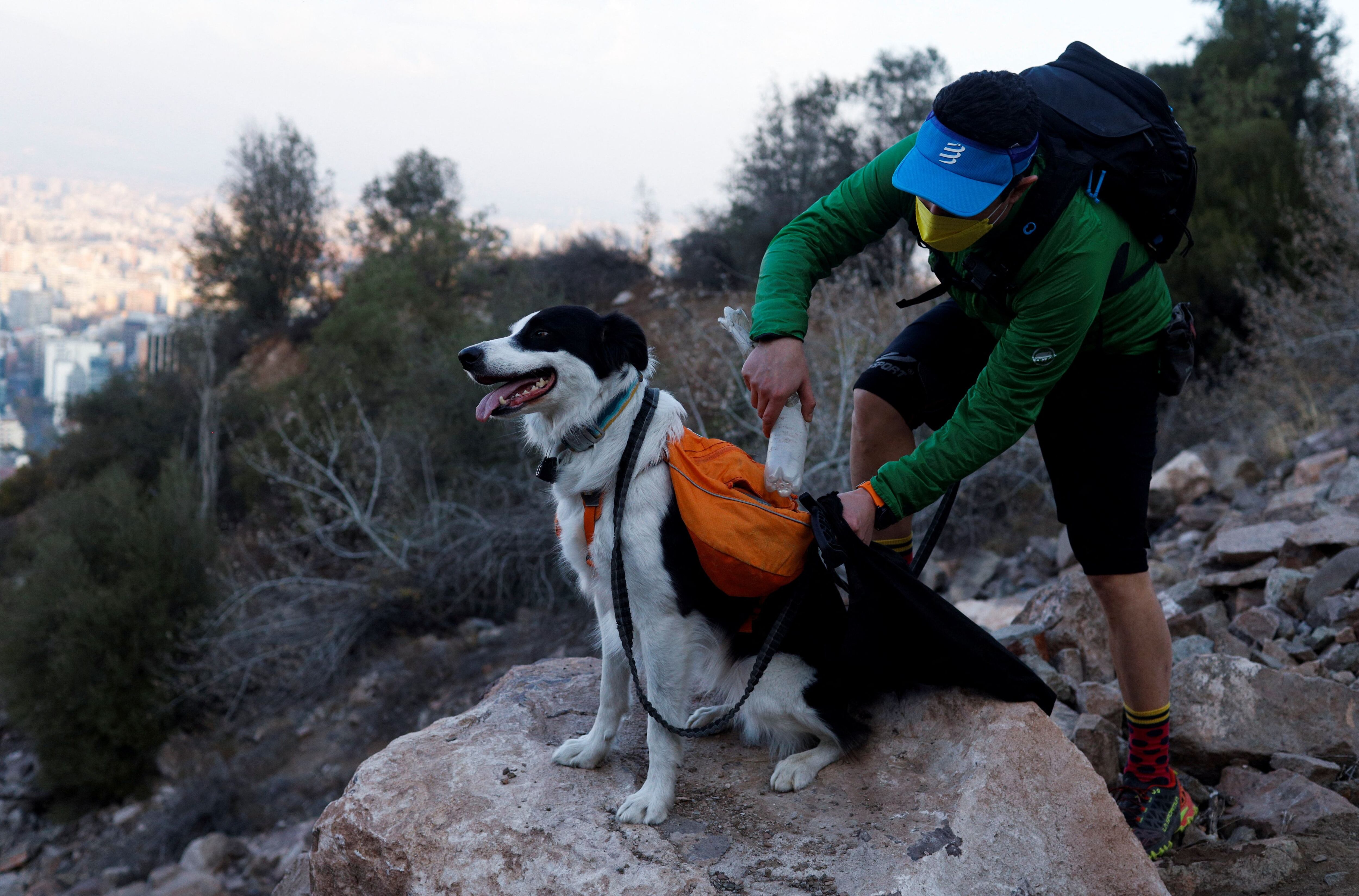 Environment activist dog is portrayed in a comic book to be used as an educational guide for visitors to a the metropolitan park, in Santiago