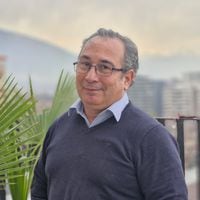 Hernán García, experto electoral del PS: “El partido tiene consolidada una participación en comunas rurales, el desafío es conquistar las urbanas”