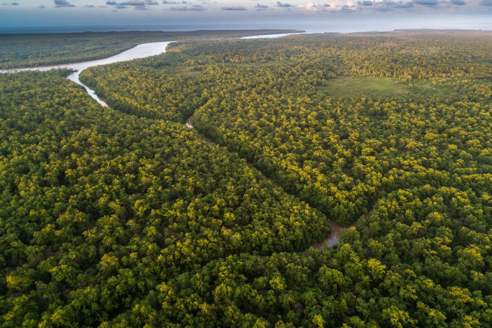 Selva Amazónica