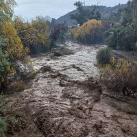 Se reportan inundaciones: declaran alerta roja para Pitrufquén y Freire por desborde de ríos