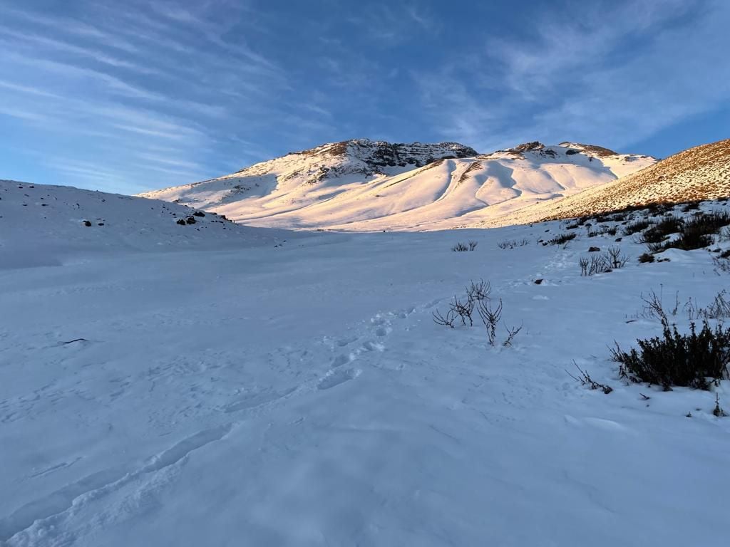 nieve