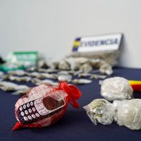 Desarticulan bandas que ingresaban droga a cárcel de Valdivia: reclusos recibían los paquetes con sistema de redes