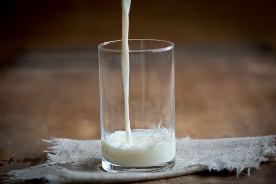 Por qué somos la única especie que toma leche en la edad adulta