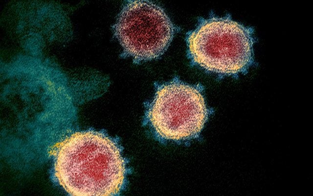 coronavirus