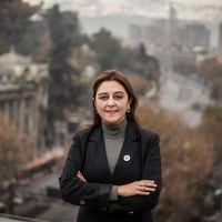 Marcela Sandoval, ministra de Bienes Nacionales: “Hubo una voluntad del Estado alemán para la expropiación de terrenos de la ex Colonia Dignidad” 