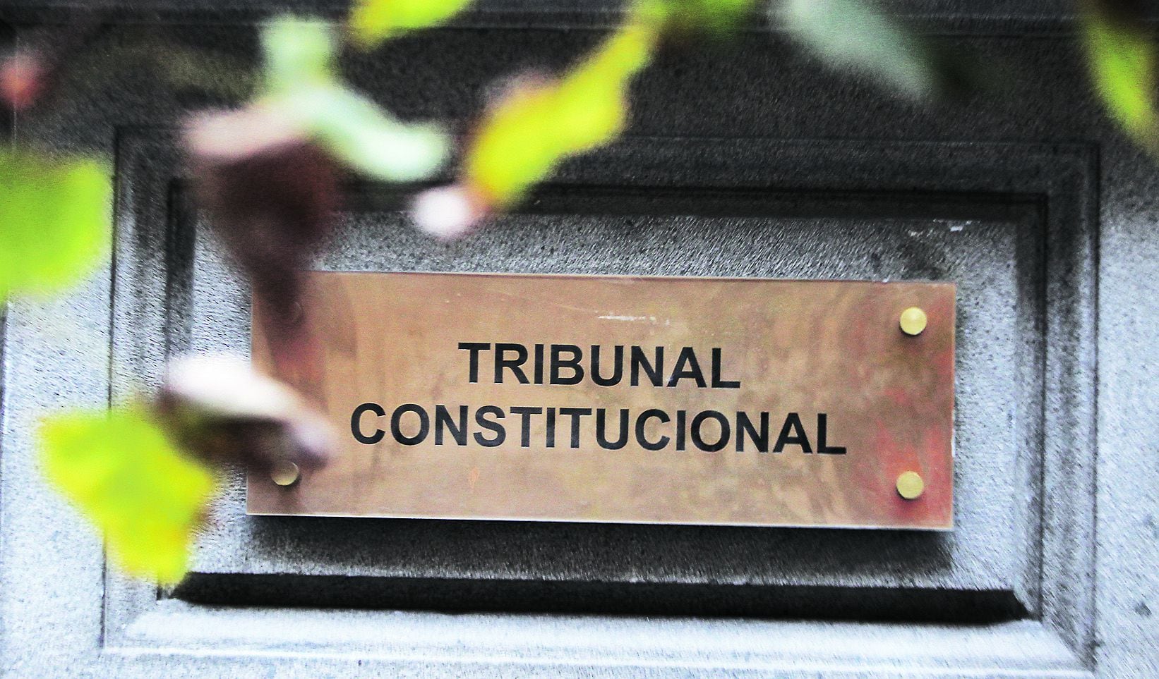 Tribunal Constitucional