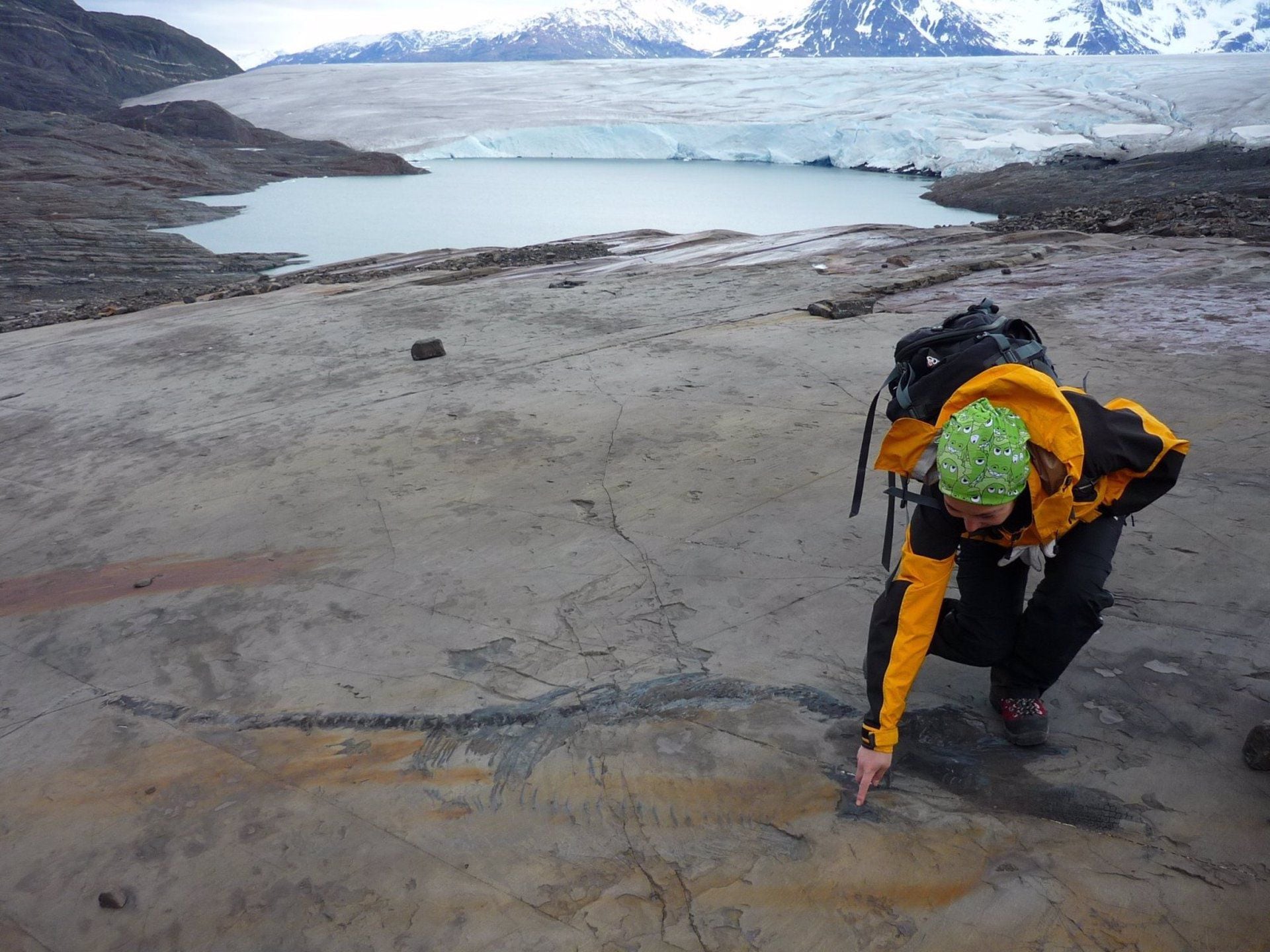 El increíble rescate del fósil completo de una hembra de ictiosaurio preñada en el sur de Chile