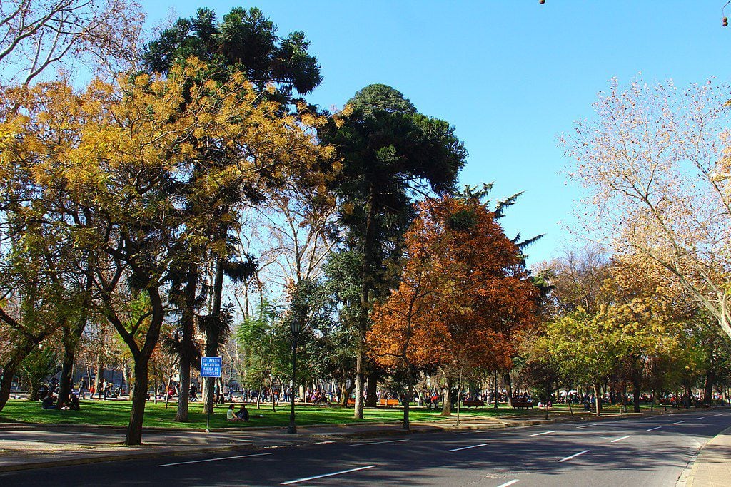 parque forestal