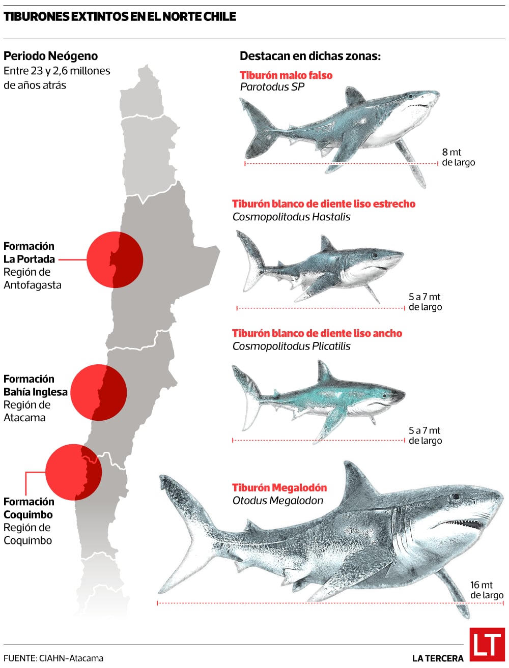 Fósiles de tiburones