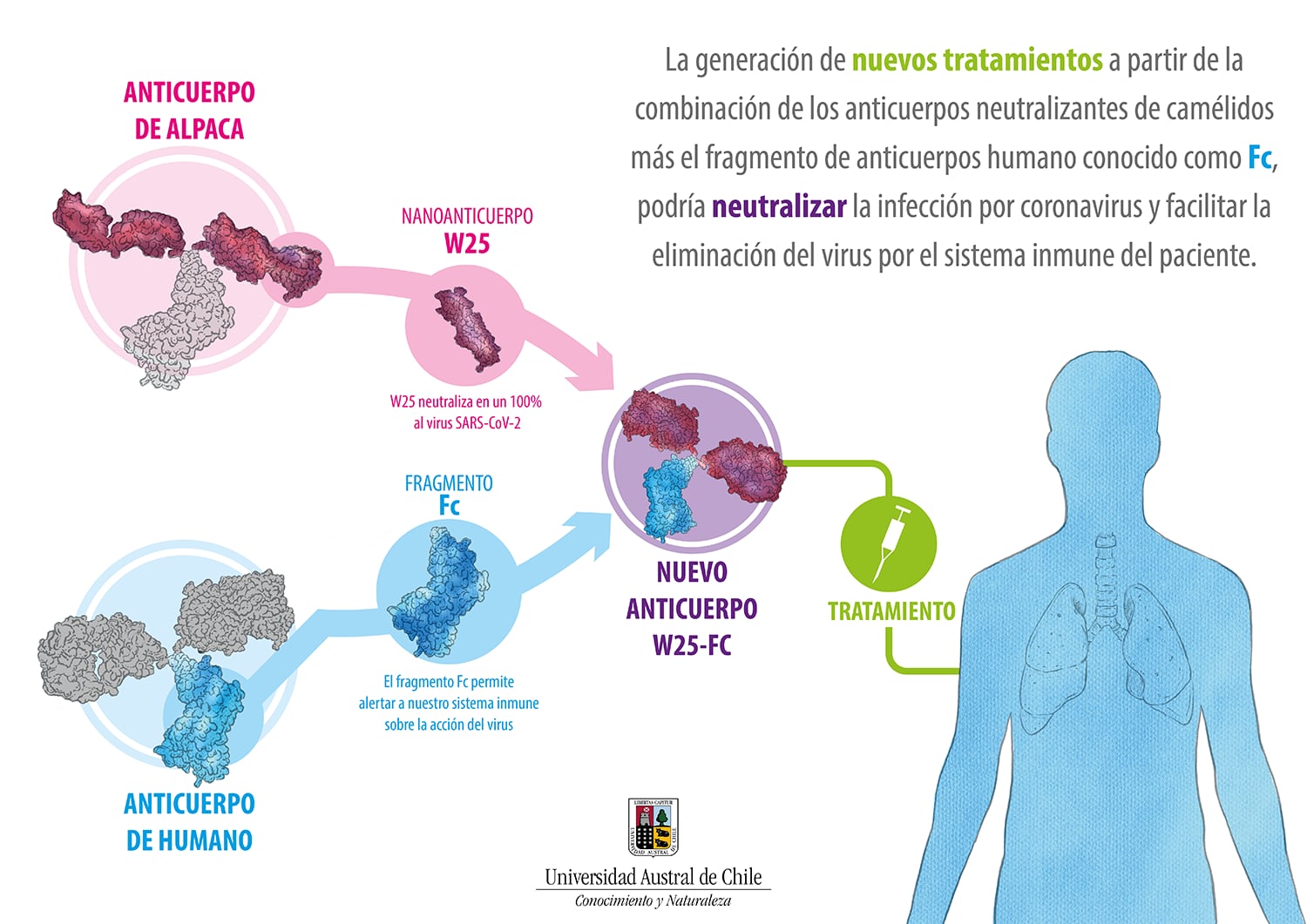 infografia UACH