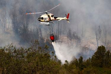 VALPARAISO: Incendio forestal en la Ruta 68. 15/11/2019