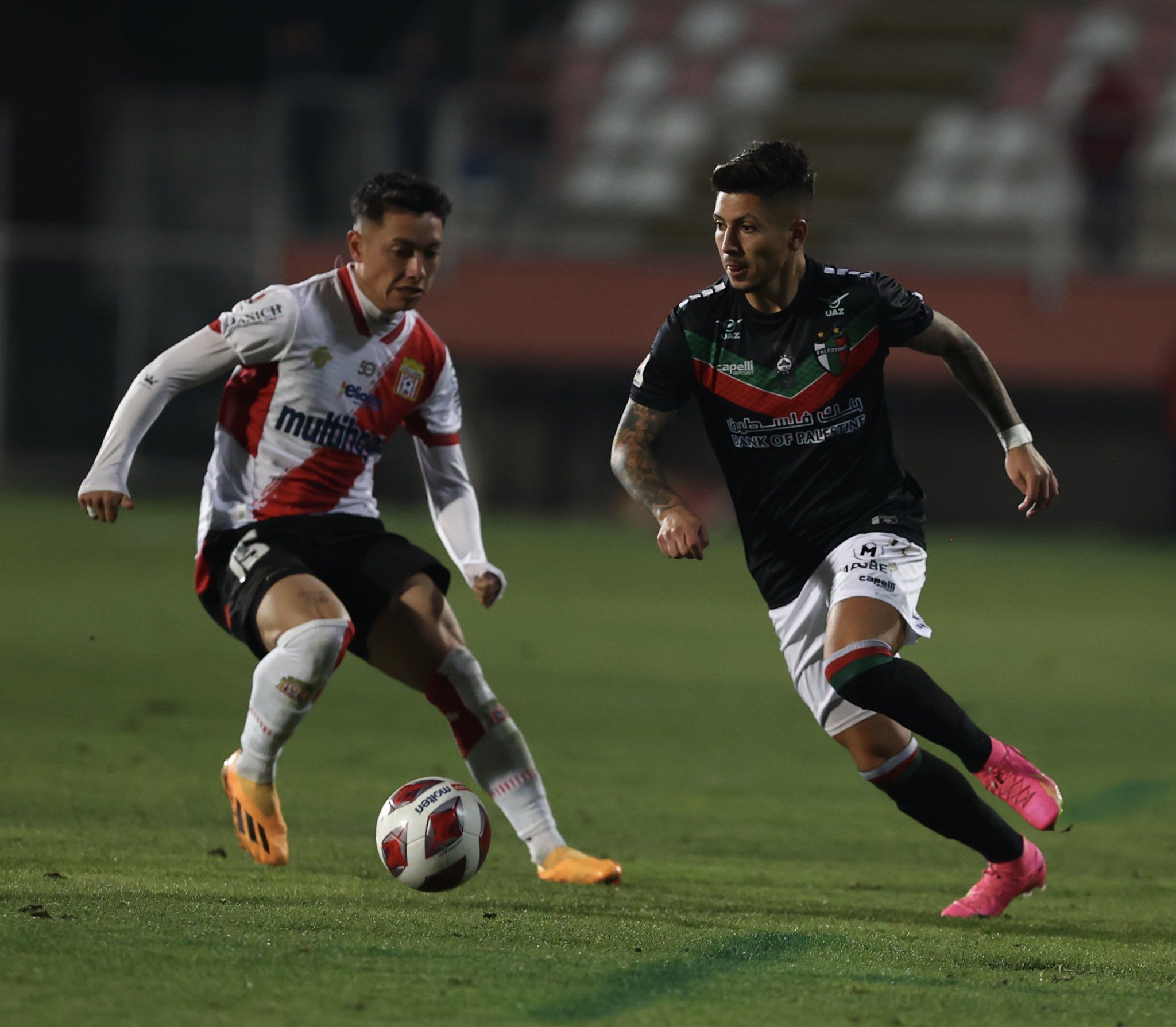 Curicó - Palestino