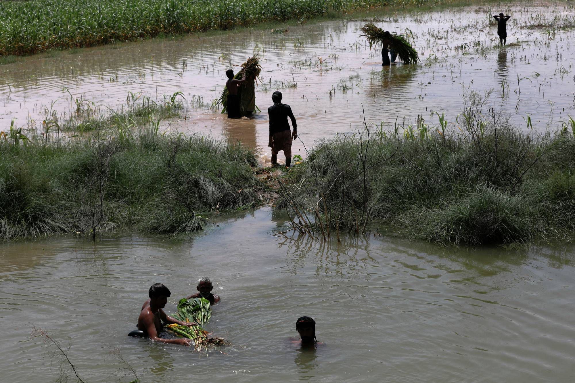 El potente fenómeno El Niño amenaza la seguridad alimentaria en el mundo