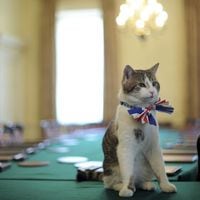 “Larry the Cat”: el gato de Downing Street espera a su sexto primer ministro británico